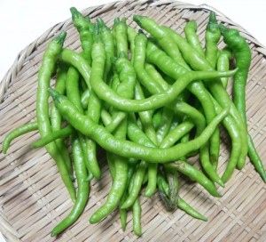 o0500045414533629180